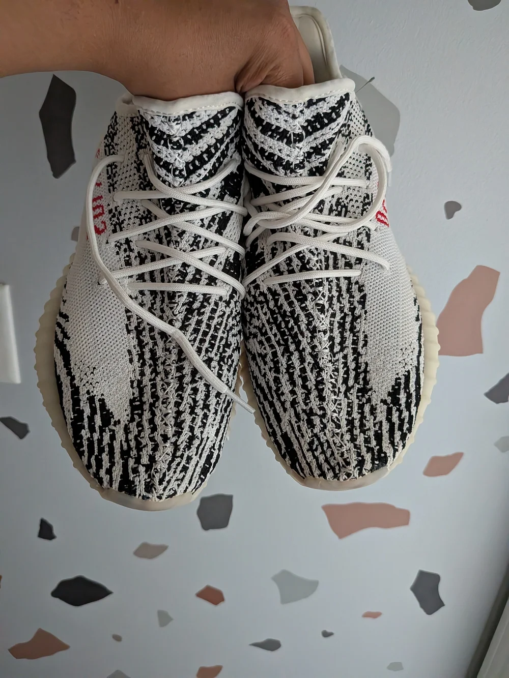Mens zebra 350 knit sneaker